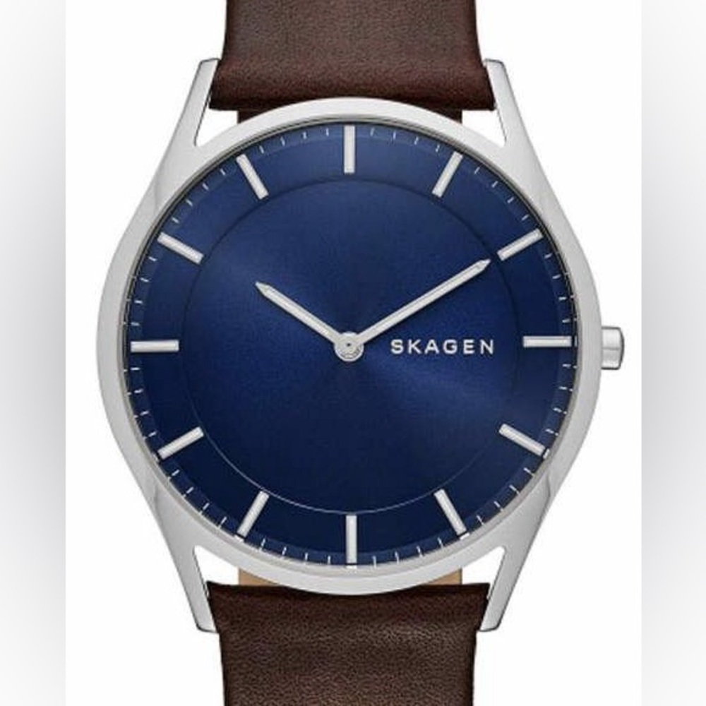 Skagen Watch Men's Silver and Blue with Brown band